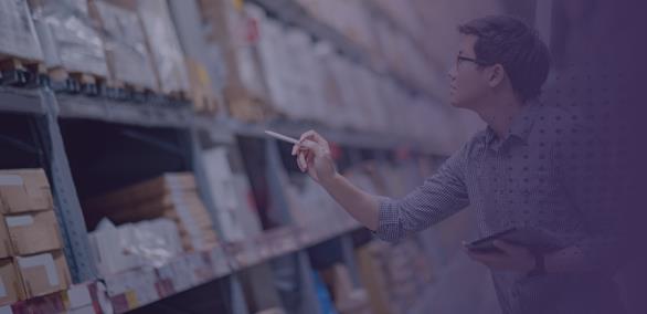 Gestão Documentos Fiscais – RVI